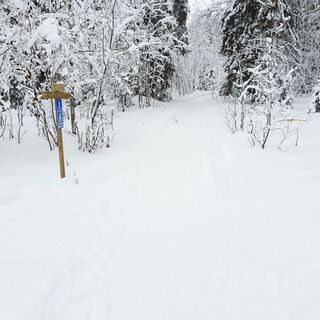 Autioniemen-Winterweg, Paltamo