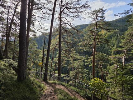 Foto von GerhardAho entlang der Tour
