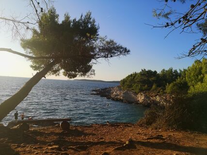 Photo de Christiane Tillian le long du parcours