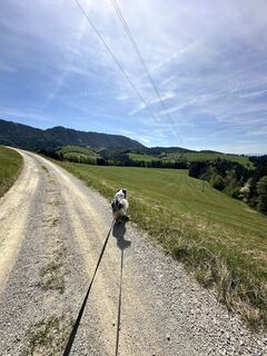 Foto de Christopher Preininger a lo largo del recorrido