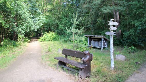 Rollstuhlwanderweg