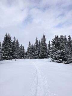Zdjęcie z Andrea Treichl wzdłuż trasy
