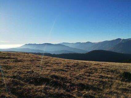 Fotografia z Tasurinki Mitote na trase