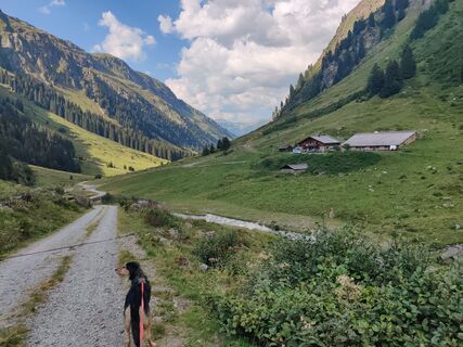 Foto von Xenia Lange entlang der Tour