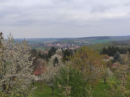 Photo de Làszló Visi le long du parcours