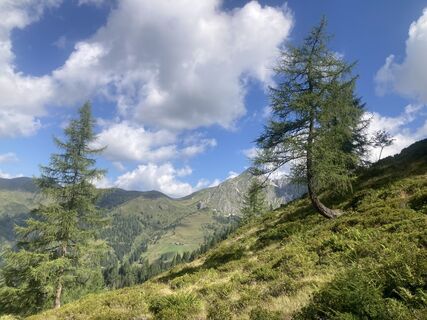 Photo de Florian Eder 2 le long du parcours