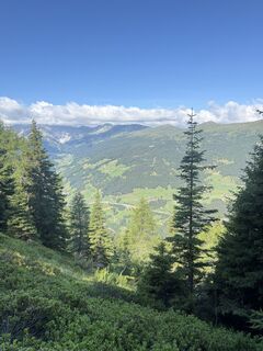 Photo de Petra Seidner le long du parcours