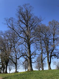 Foto fra Olga Jung undervejs på turen