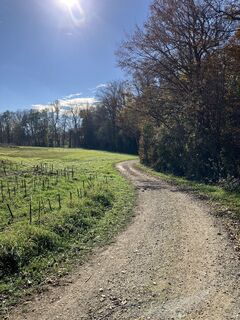 Fotografie z Metka Muraus na trase