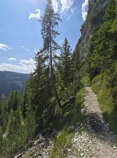 Foto von Jack cappa entlang der Tour