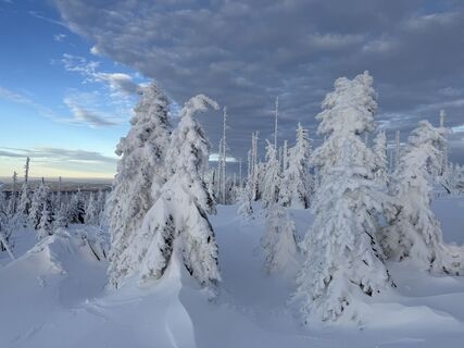 Foto von Natur_erleben_dg entlang der Tour