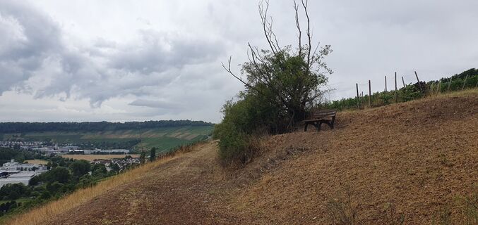 Fotografie z Uwe Korella na trase