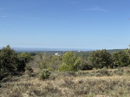 Fotografija s spletne strani Grizzli na poti