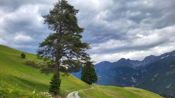 Foto von a.jenewein.78 entlang der Tour
