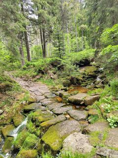 Photo de ReginaSt le long du parcours