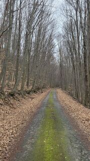 Foto von János Zsolt Mahr entlang der Tour