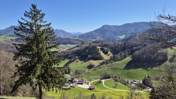 Foto de Roland Hoeller a lo largo del recorrido
