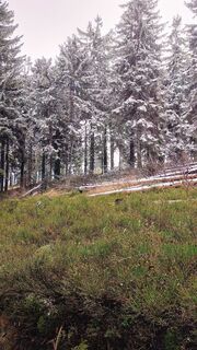 Zdjęcie z Romek Dwornik wzdłuż trasy