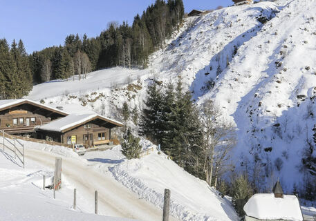 Grabenhütte - Ferienwohnung mit Hund