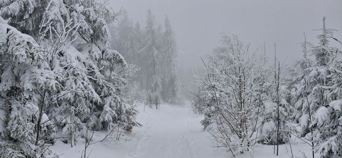 Photo de Helmut ingelsberger le long du parcours