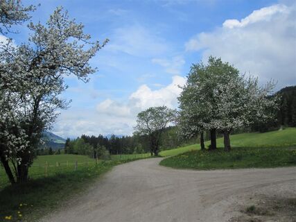 Buchensteinwandrunde 