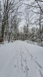 Foto de Regina Fleischmann a lo largo del recorrido