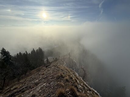 Zdjęcie z Natur_erleben_dg wzdłuż trasy