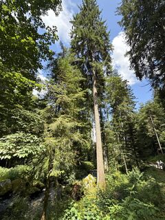 Photo de John Schouten le long du parcours