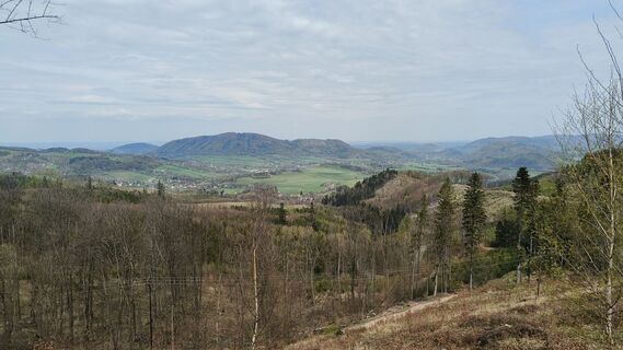 Fotografia z Čestmír Sivek na trase