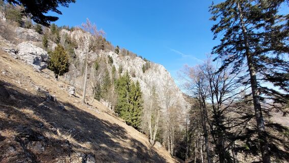 Foto von Juliane Jarke entlang der Tour