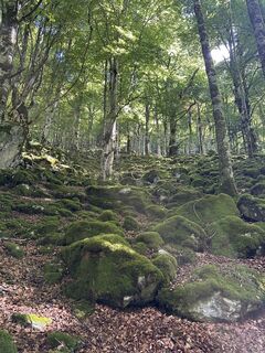 Foto de Elie Duffas a lo largo del recorrido