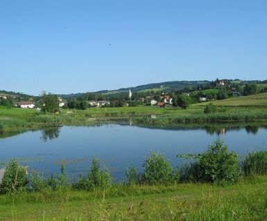 Teich in Krumbach | Bucklige Welt