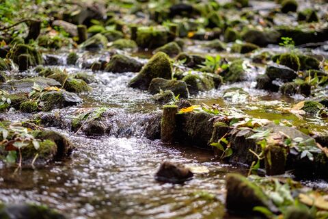 Bach im Kurpark Vlotho