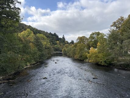 Fotografia z Grizzli na trase
