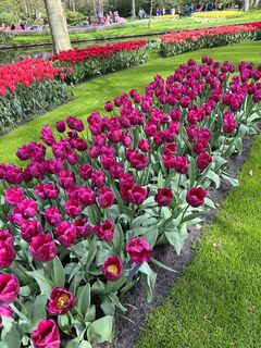 Fotografie de la Silvia Hollenstein de-a lungul turului