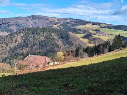 Fotografia z wen na trase