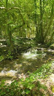 Photo de Ivana Kostic le long du parcours