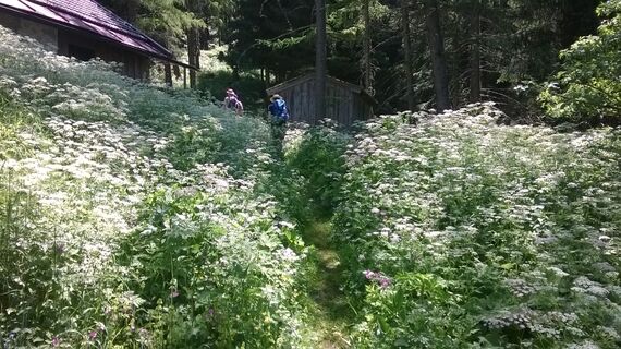 Sachrinnstein Jagdhütte
