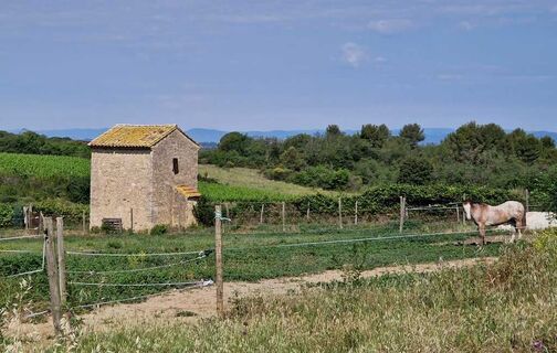 Wanderung rund um das Weinbaugebiet in Tourbes 1