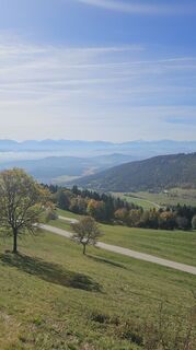Photo from Monika Wieser along the tour