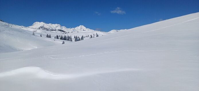 Foto von Janez Perko entlang der Tour