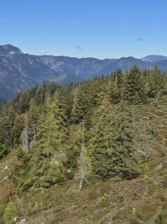 Photo de Jakob Krimbacher 1 le long du parcours
