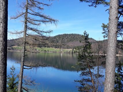 Feldberg