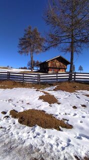 Fotografia z Julius Piger na trase