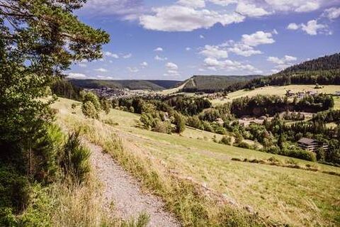 Sommerseite Pfad mit Aussicht