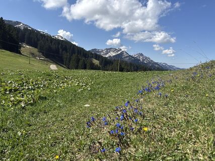 Foto de Similaun a lo largo del recorrido