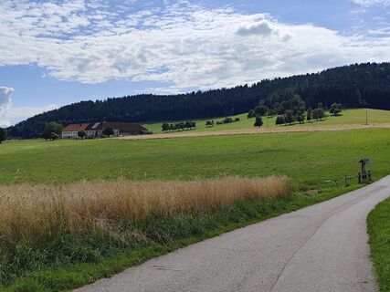 Fotó a Edith K. honlapról a túra során