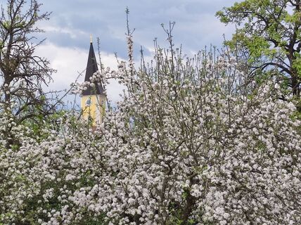 Foto von Peter Bauridl entlang der Tour