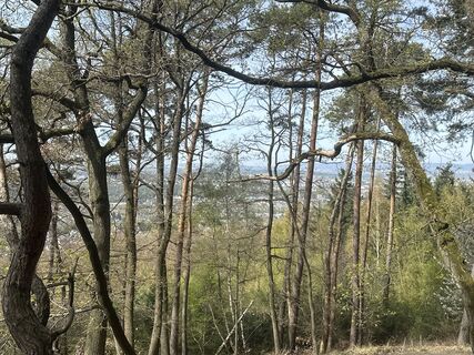 Foto von TrickyTax entlang der Tour