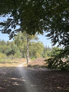 Fotografija s spletne strani Babita na poti